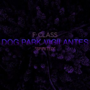 Download track Sunday Morning Dog Park Vigilantes