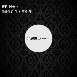 Download track Funk The Flave (Original Mix) DNA Beats