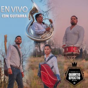 Download track Mi Tesoro (En Vivo) Quinto Efecto