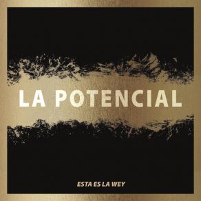 Download track La Traidora La Potencial