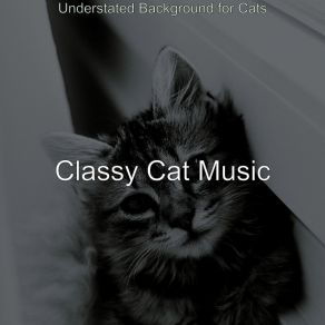 Download track Dream-Like Solo Piano Jazz - Vibe For Cats Classy Cat Music