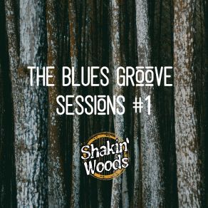 Download track The Place To Be Shakin' Woods