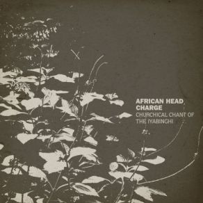 Download track Jungle Law African Head Charge