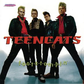 Download track Ponytail Girl Teencats