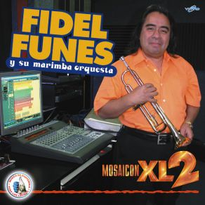 Download track Cobanerita Fidel Funes, Su Marimba Orquesta