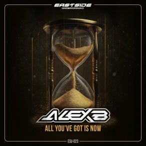 Download track All You've Got Is Now (Radio Edit) Alex B.