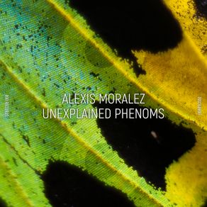 Download track Butterfly Effect Alexis Moralez