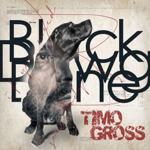 Download track Wicked Game Timo Gross