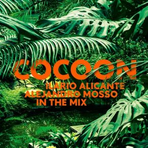 Download track Cocoon Ibiza (Alejandro Mosso Live) Alejandro Mosso, Ilario Alicante