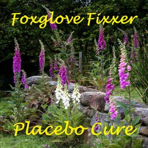 Download track Never Comin' Back Placebo Cure