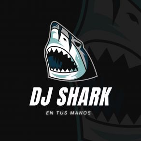 Download track Todo El Tiempo Shark Dj