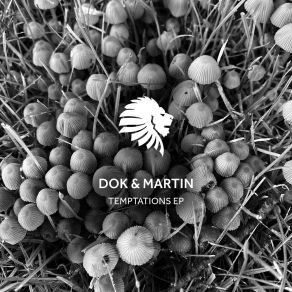 Download track Fun At The Party Dok & Martin