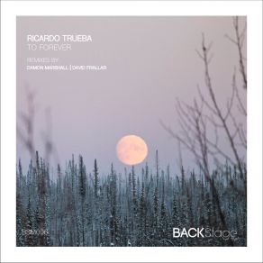 Download track To Forever Ricardo Trueba