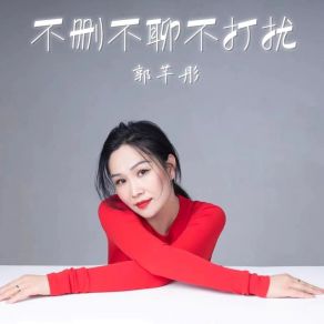 Download track 不删不聊不打扰 (伴奏) 郭芊彤