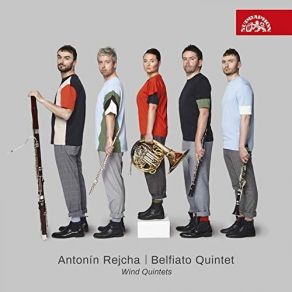 Download track 08 - Wind Quintet In E Minor, Op. 88 No. 1- No. 4, Finale. Allegro Anton Reicha