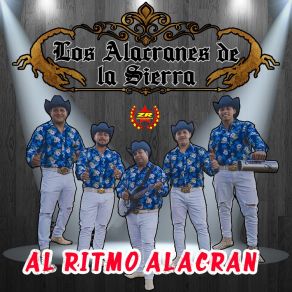 Download track Llegó Borracho El Borracho Los Alacranes De La Sierra