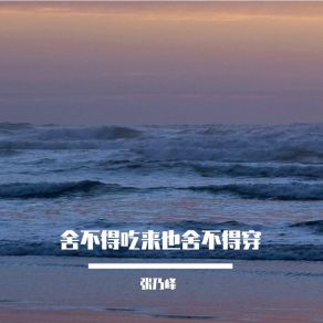 Download track 舍不得吃来也舍不得穿 张乃峰