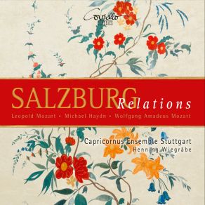 Download track Mozart: Serenata In D Major, Sign. V 1451: IV. Presto Henning Wiegrabe, Capricornus Ensemble Stuttgart