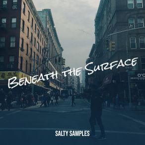 Download track Get Lost Salty Samples