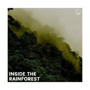 Download track Rain For Meditation, Pt. 20 Rain Sounds Nature Collection