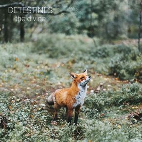 Download track The Divine Detestines