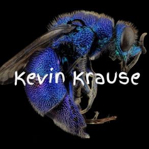 Download track The Fewest Kevin Krause