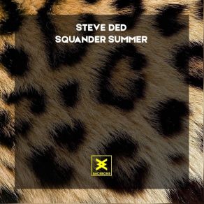 Download track Squander Summer Steve Ded