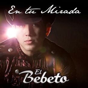 Download track Mi Fortuna El Bebeto