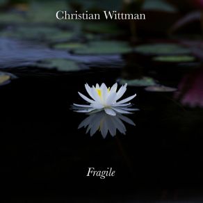 Download track A Fragile Horizon Christian Wittman