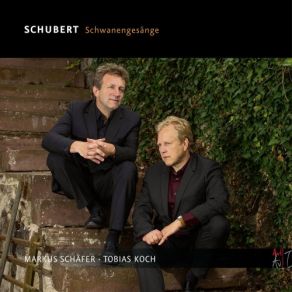 Download track Schwanengsang, D. 957- No. 11. Die Stadt Markus Schäfer, Tobias Koch, Stephan Katte