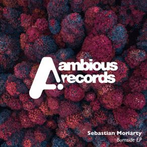 Download track Burnside Sebastian Moriarty