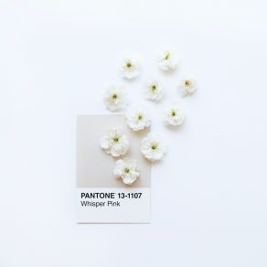 Download track Loving Solitude Pantone