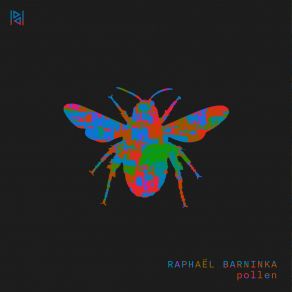 Download track Acid 303 Raphaël Barninka