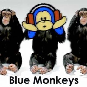 Download track Nice Melody Blue Monkeys