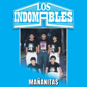 Download track El Hijo Ingrato Los Indomables