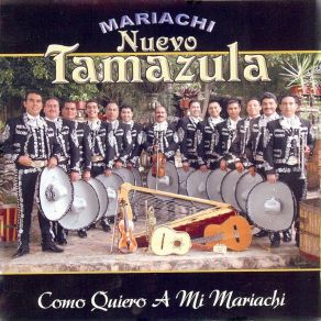 Download track Dolor Mariachi Nuevo Tamazula