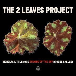 Download track Through The Light Brooke ShelleyNicholas Littlemore's The Two Leaves Project