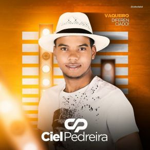 Download track Esse É Meu Jeito Ciel Pedreira