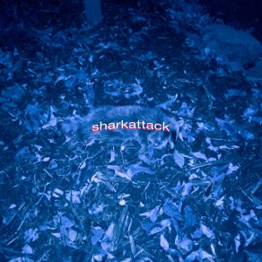 Download track Sharkattack Winnie's Diner