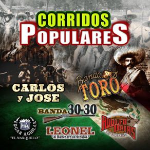 Download track La Venganza Del Tahur ConceptoAdolfo Urias Y Su Lobo Norteño