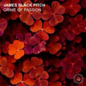 Download track Crime Of Passion (Radio Snipped Edit) James Black Pitch