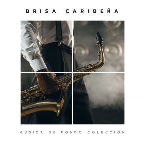 Download track Jazz Baile Lento Música De Fondo Colección