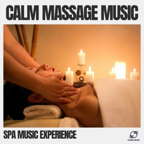 Download track Soothing Spa Music Spa Music Experience