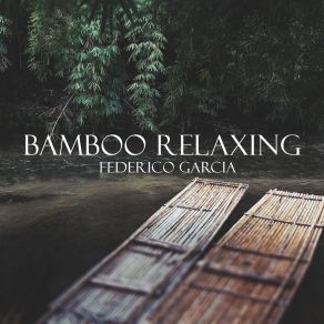 Download track Guzheng Federico García