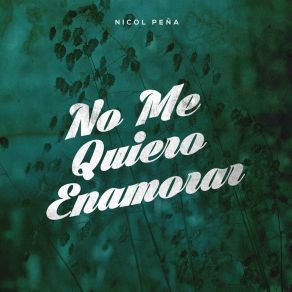 Download track Quiero Encontrar El Amor Nicol Pena