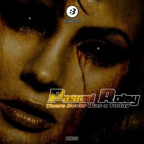 Download track There Never Was A Today (Radio Edit) Pascal Rolay