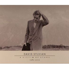 Download track Where'S Your Gravity? David Sylvian