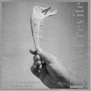 Download track Woman And Birds Bobby Previte