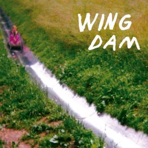 Download track Re-Move Me Wing Dam