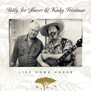 Download track You Wouldn't Know Love If You Fell In It (Live) Billy Joe Shaver, Kinky Friedman